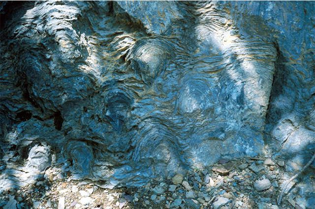 Precambrian era image