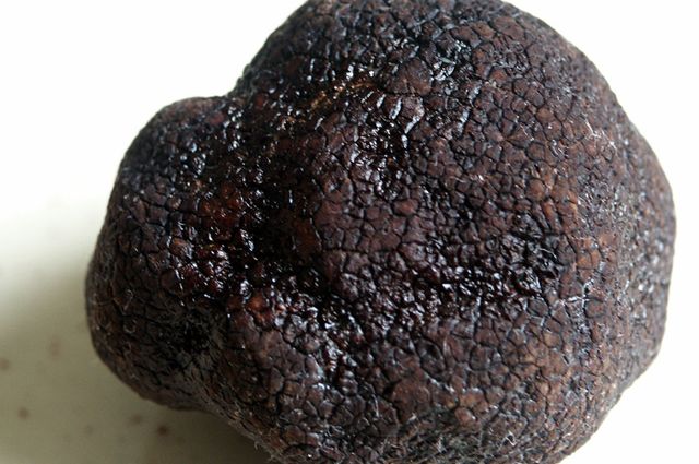 Black truffle