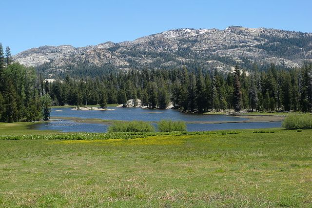 Calaveras Big Trees State Park, California, USA