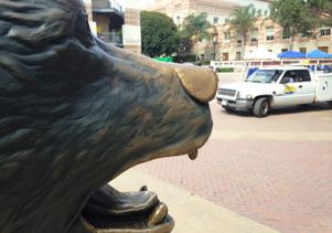 Bear-Facilities Management truck