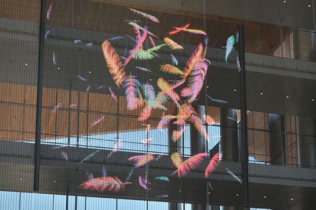 Murmuration by Jennifer Steinkamp