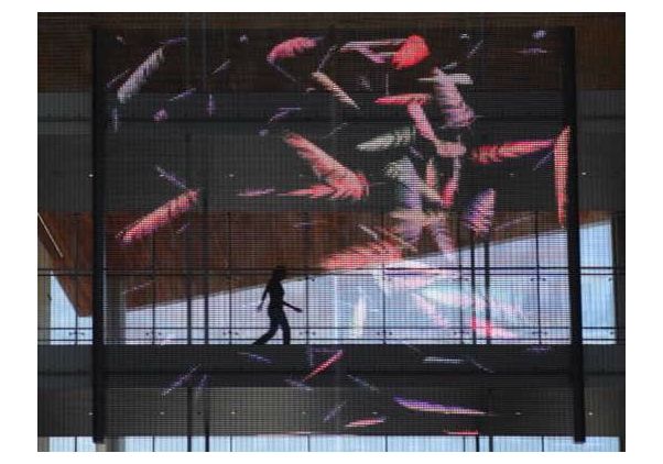 Click to open the large image: Murmuration