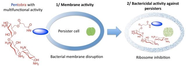 Souped-up antibiotics