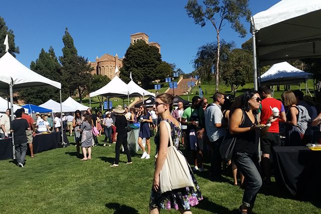 KCRW pie contest 5