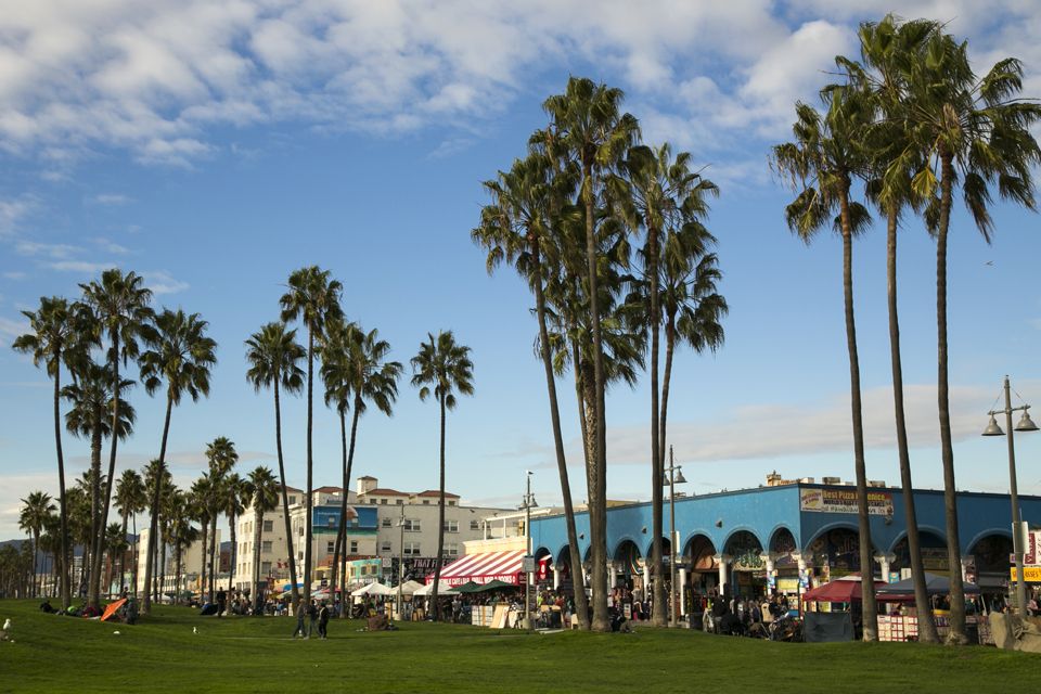 Jan. 15 The history and culture of L.A.'s palm trees UCLA
