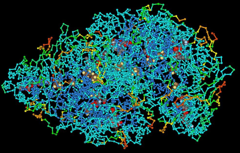 Biomacrocolecules
