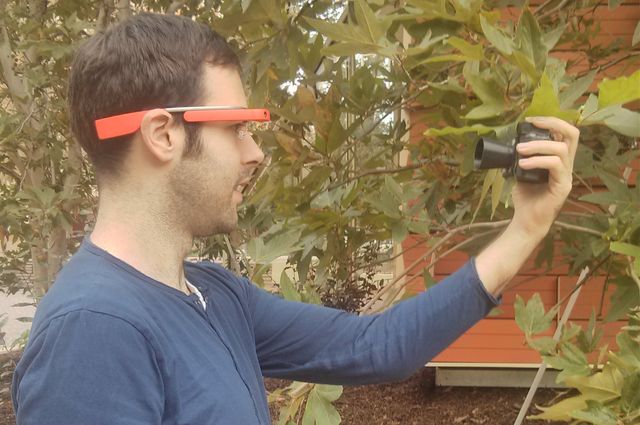 Google Glass plant health