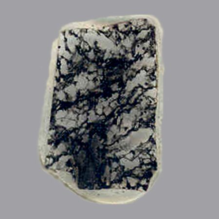 Fossils 2.3 billion years old