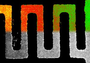 Polycrystalline aluminum wire
