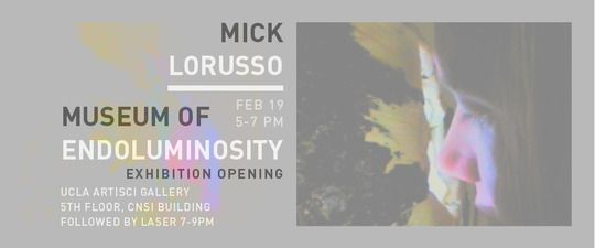 "Museum of Endo-luminosity" exhibition