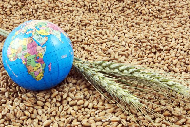Global food