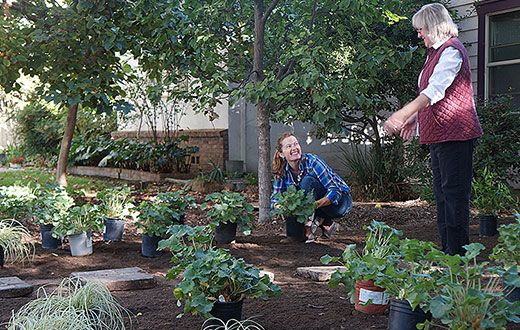 water-wise plants