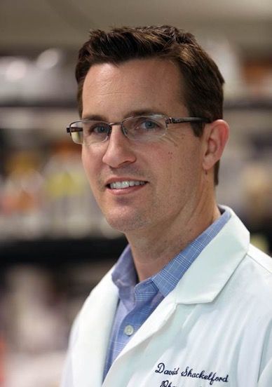 Dr. David Shackelford