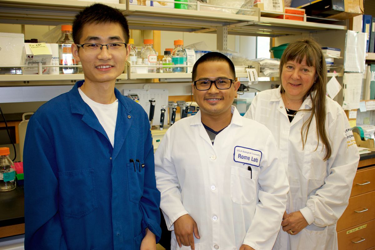 Wang Abad Kickhoefer