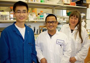 Wang Abad Kickhoefer