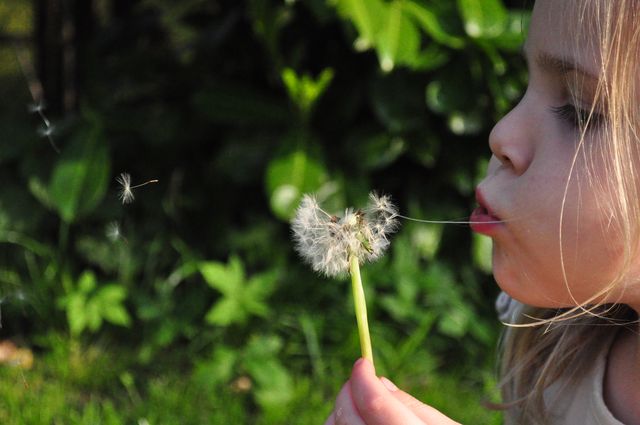 Girl with dandelion