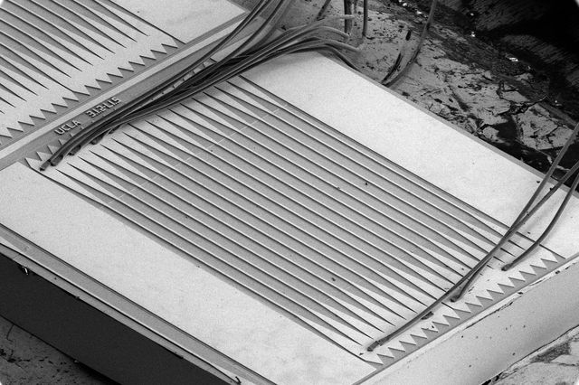 Williams Laser metasurface