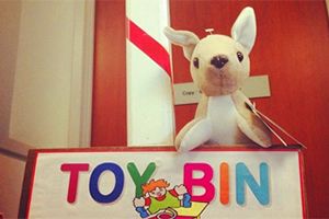 UCLA Toy Drive
