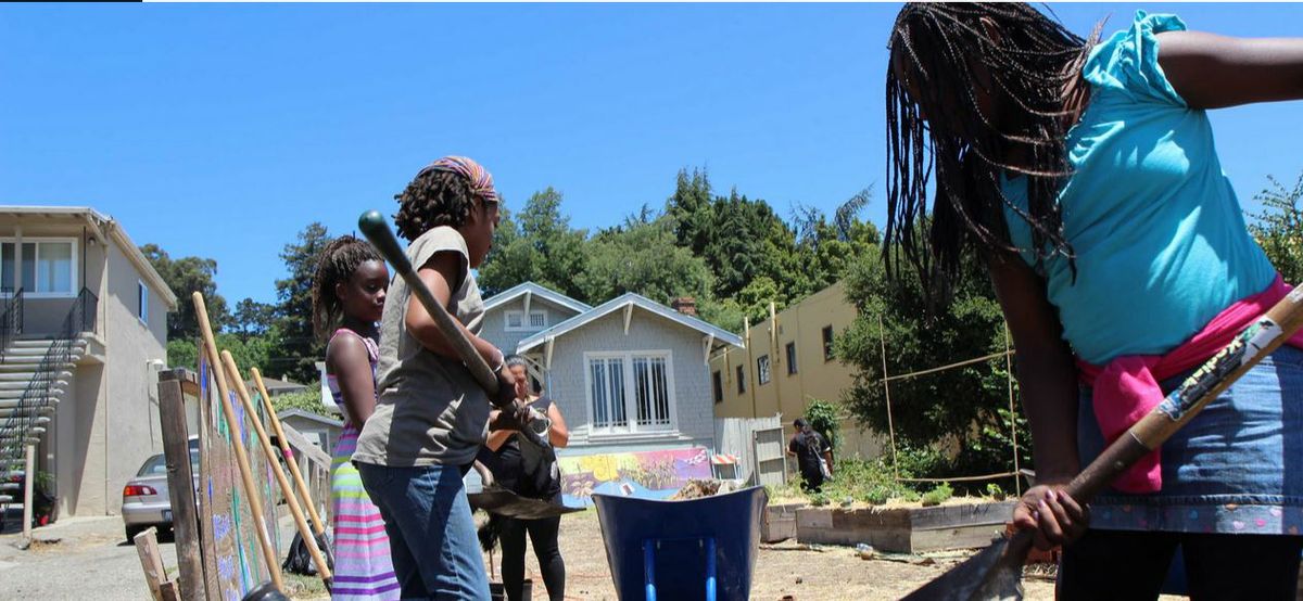 'How to Change the World'