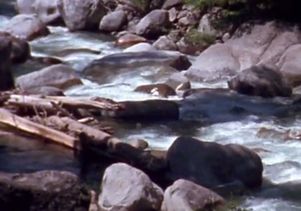 'The River Ran Red'