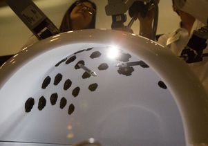 Training in robotic surgery