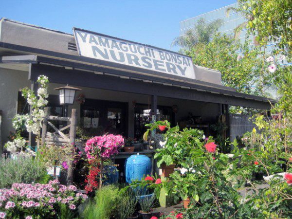 Yamaguchi nursery sign