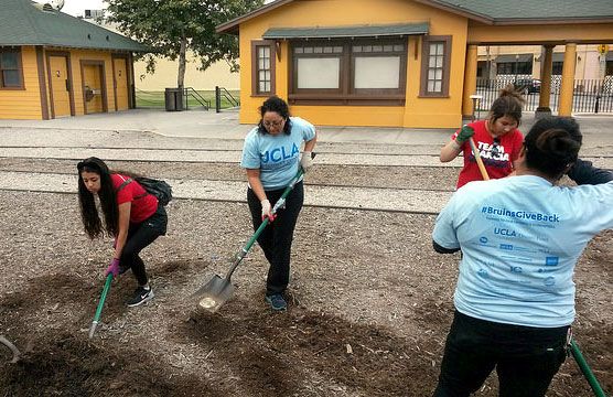 spreading-mulch-2