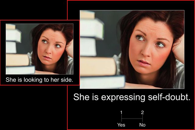 Social brain - two images