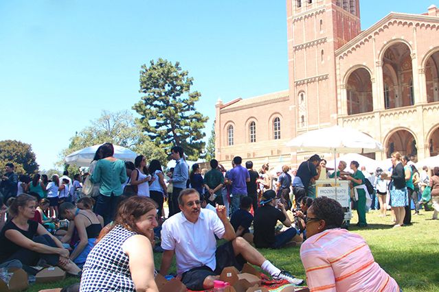 All-staff picnic 2014