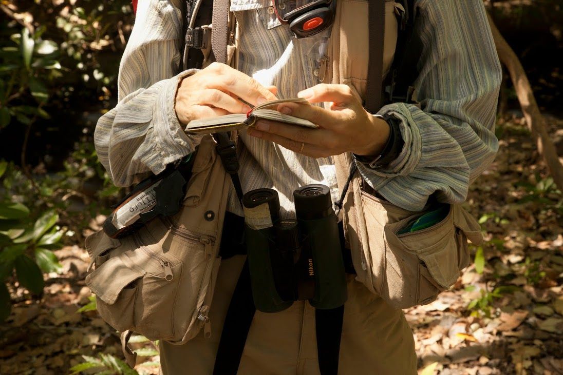 Susan Perry in the field