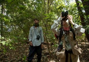 Field research in Costa Rica