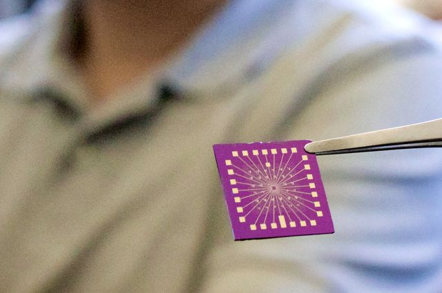 Nanoelectronic chip 