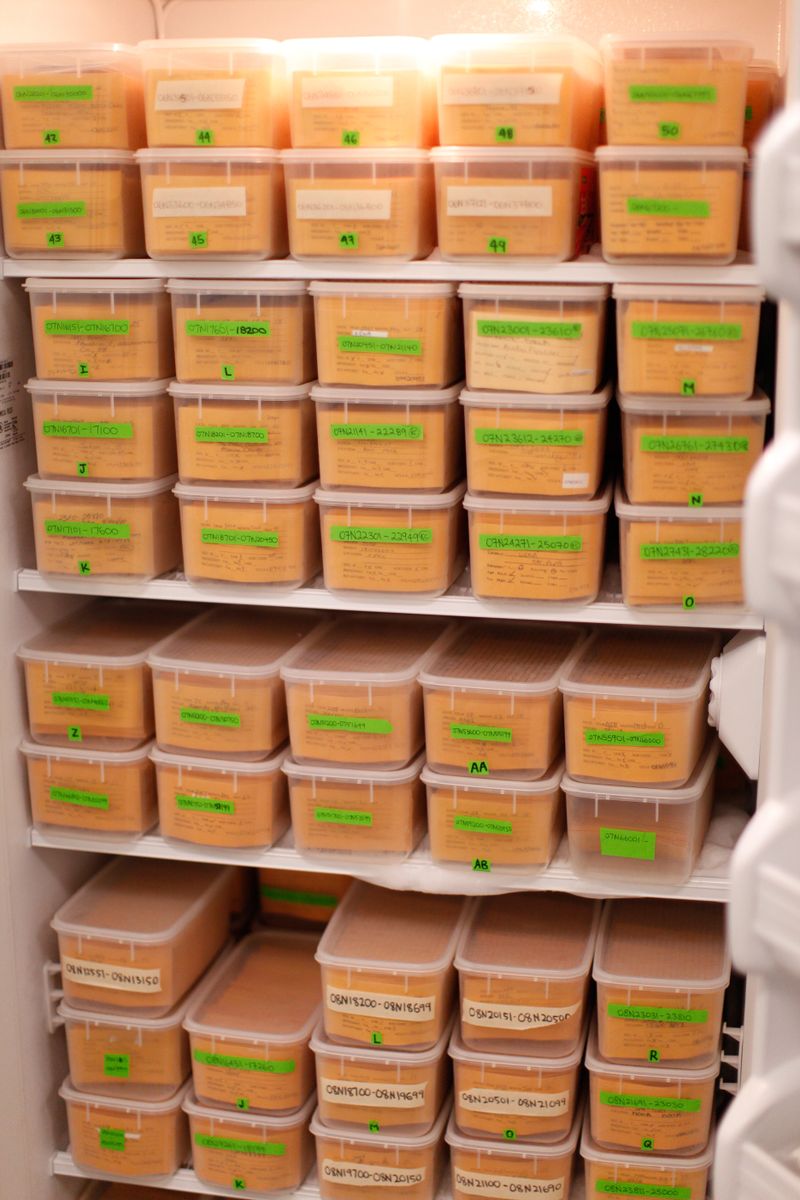 Feathers in the UCLA feather bank