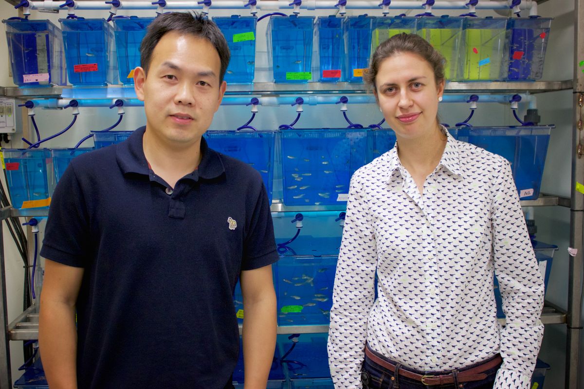 Sijie Lin and Olivia Osborne