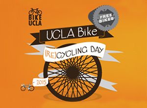 Bike Recycling Day 2015