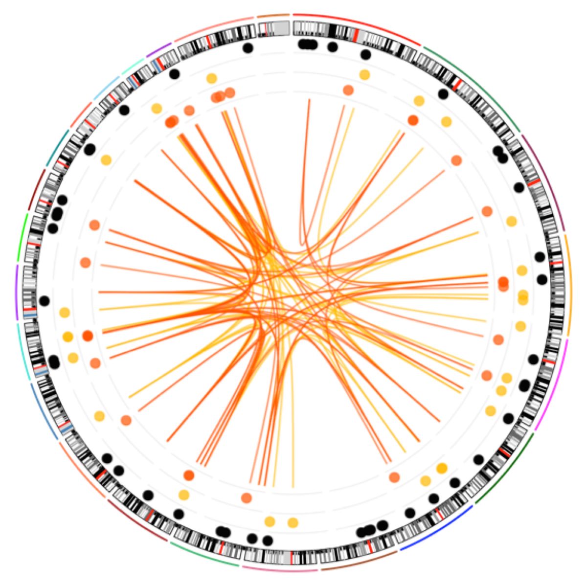 LncRNA study figure