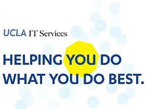 IT Services banner