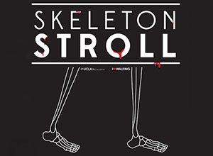 Skeleton Stroll