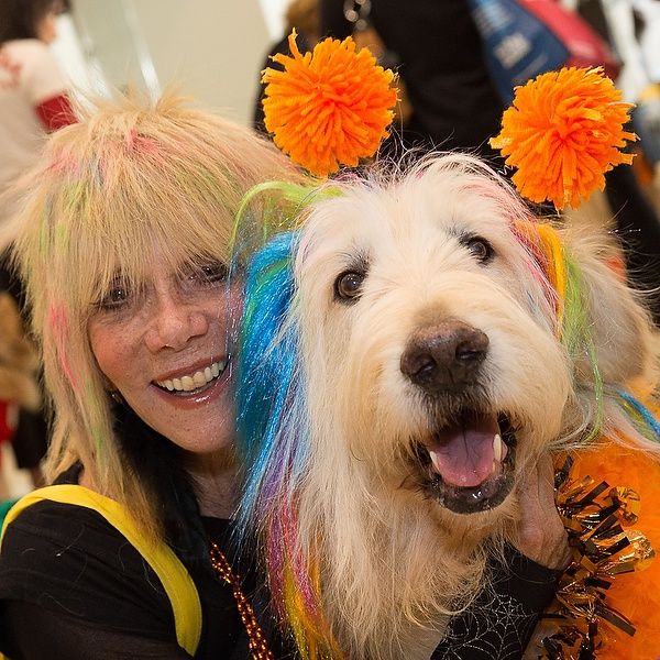 Volunteers from the UCLA People-Animal Connection