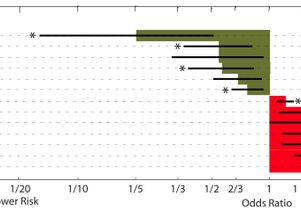 Diabetes risk chart