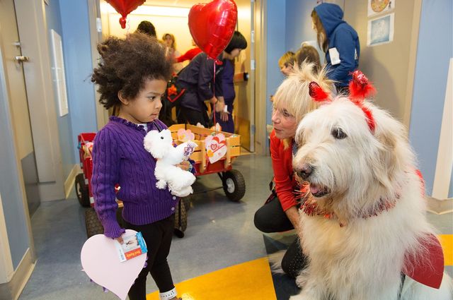 Volunteer dogs deliver Valentines
