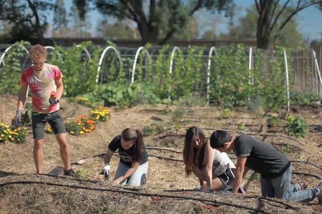 Students in a class on food justice