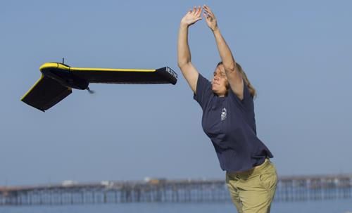 Timu Gallien surveys beach