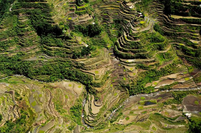 Terraces in Ifugao, Philippines