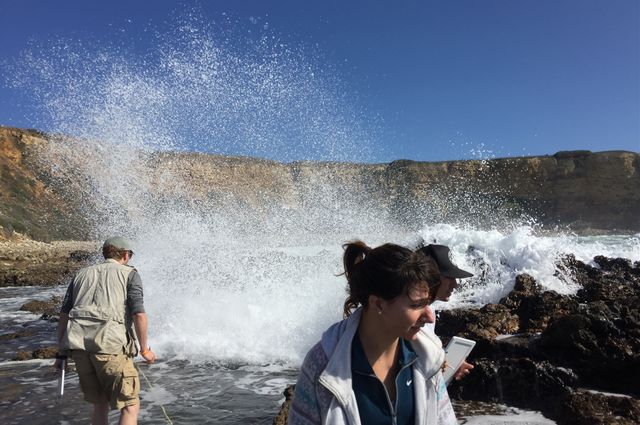 Denita Toneva and her UCLA student group