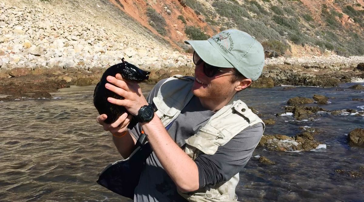 UCLA student Joseph Curti