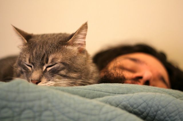 Sleep