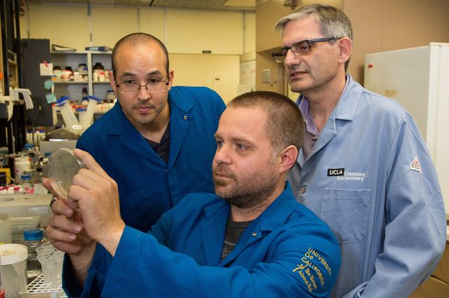 Paul Opgenorth, Tyler Korman, James Bowie