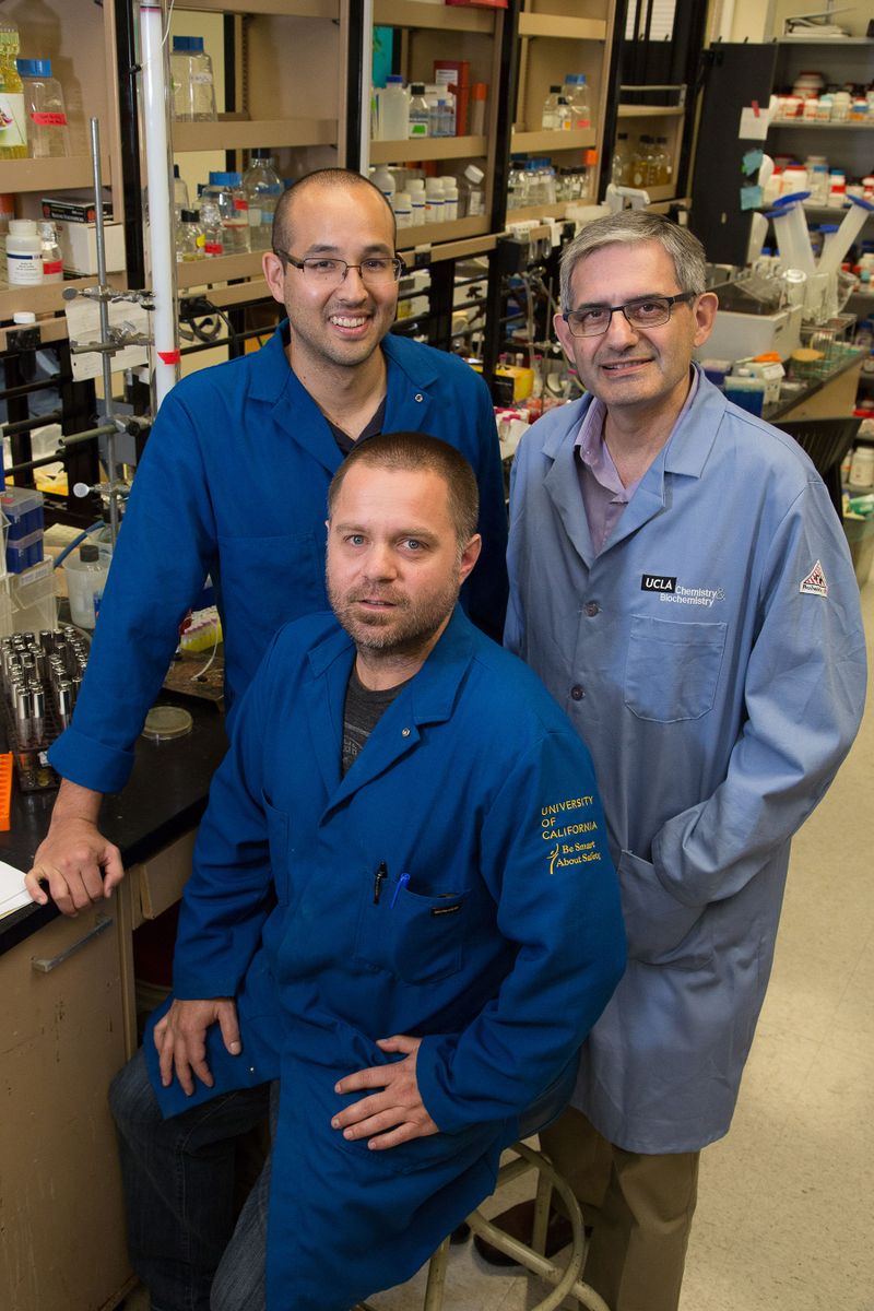Major advance in ‘synthetic biochemistry’ holds promise for industrial ...