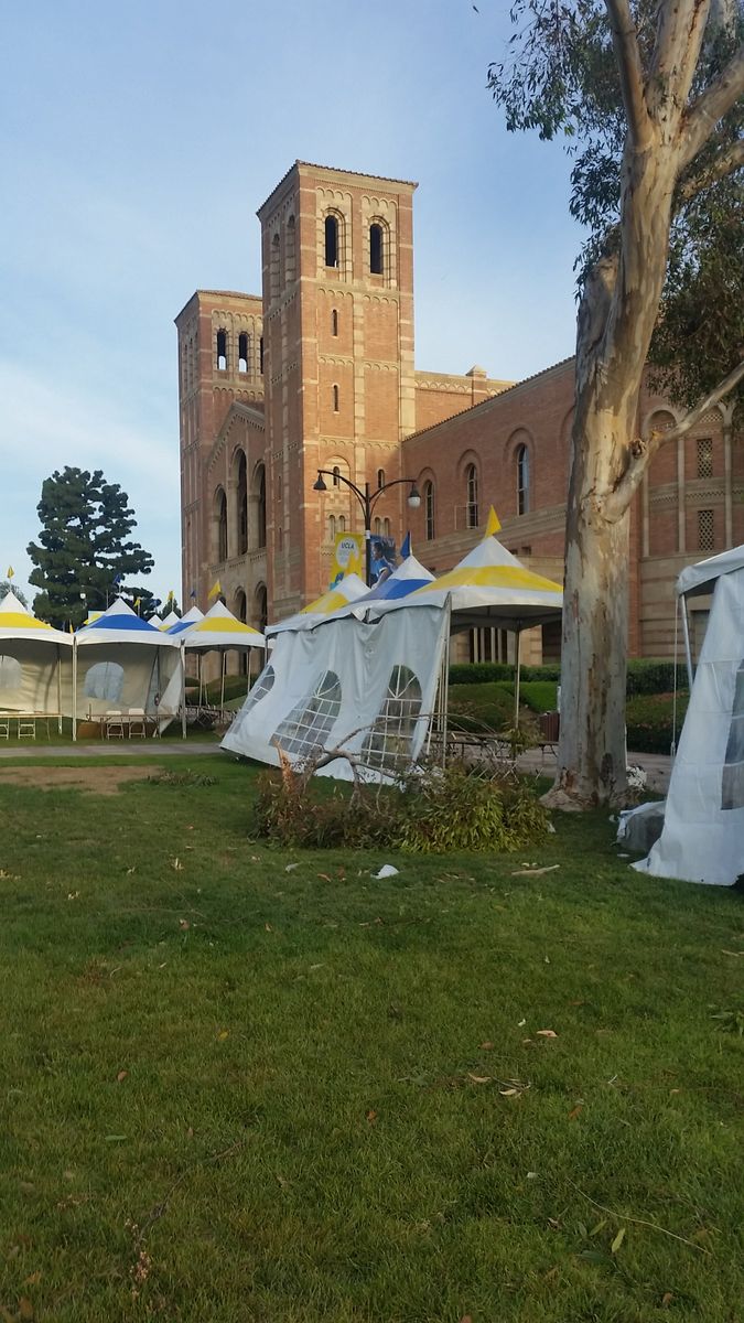Broken branch in Royce Quad